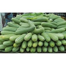 Cucumber (Shosha) – 1kg